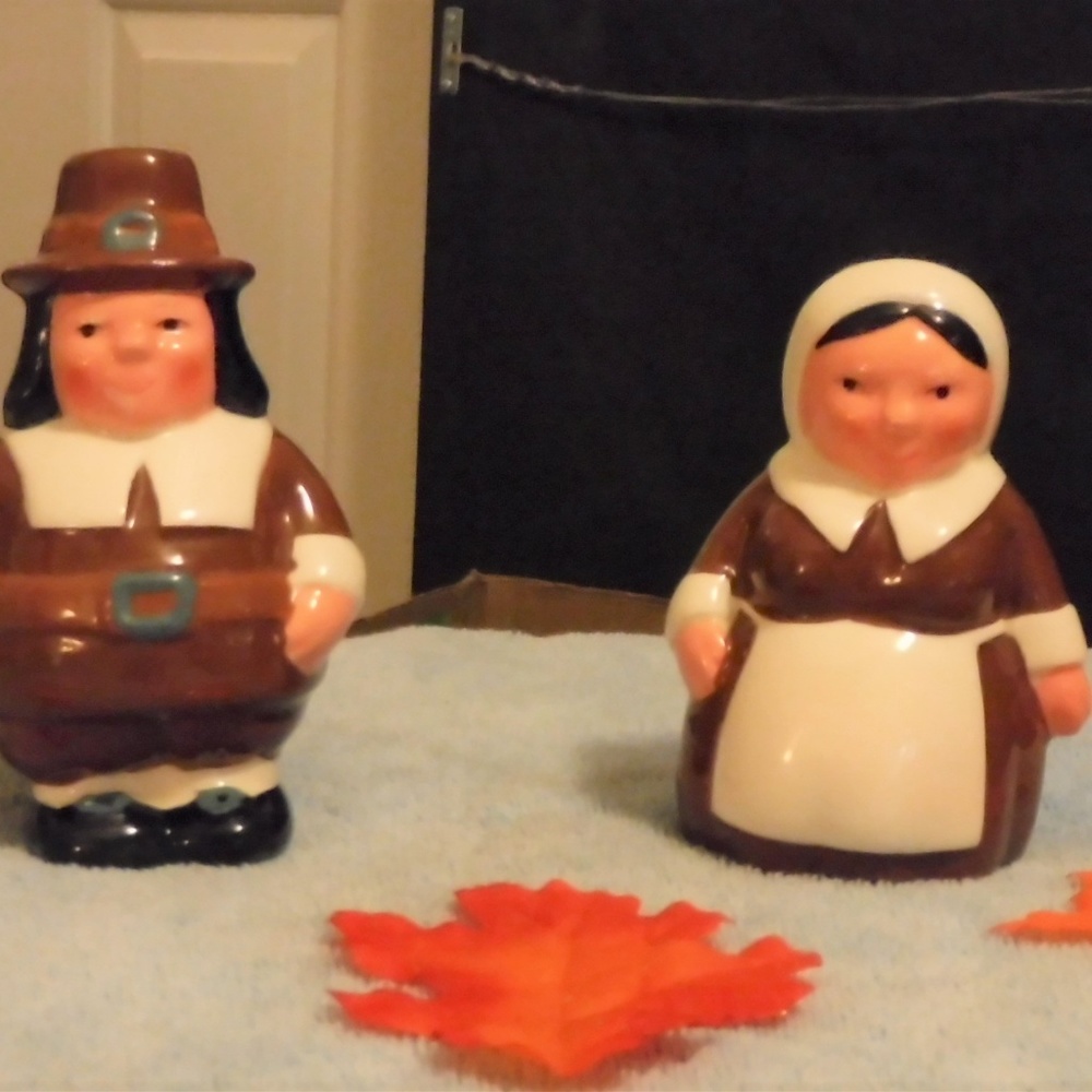Thanksgiving (or fall) salt and pepper shakers.